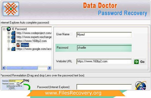 Internet Explorer Password Recovery