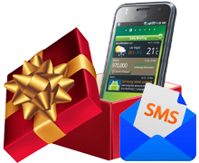 Bulk SMS Professional Bundle